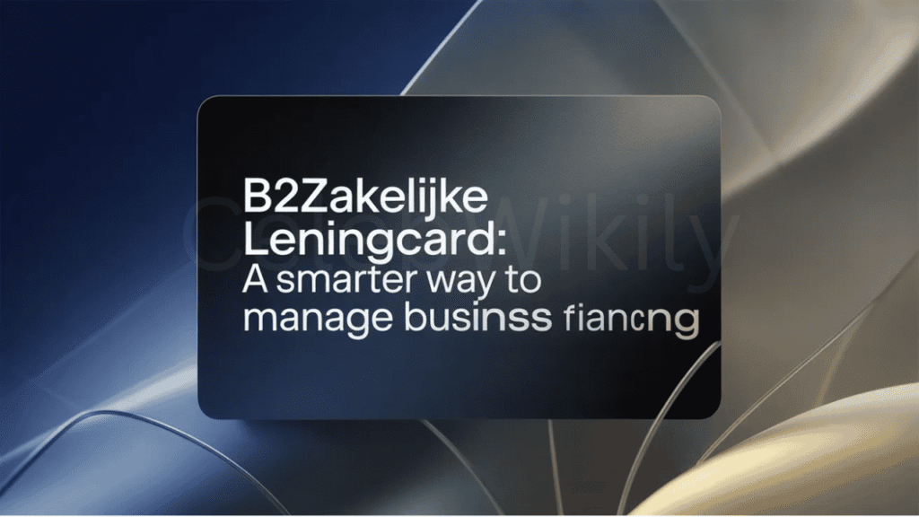 B2zakelijke Leningcard