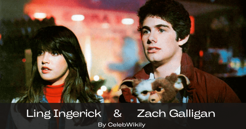 Ling Ingerick – A Practical Guide to Master It Fast